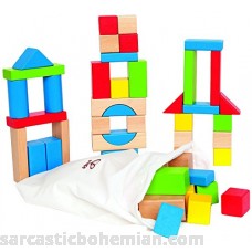 Hape Maple Wood Kid's Building Blocks in Assorted Shapes and Sizes ,50 pieces B00712NYP8